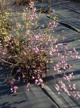 image (3)3